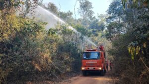 Brigada Florestal ArcelorMittal (2)