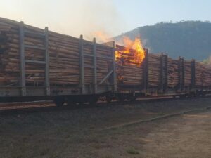 Vagões carregados com eucaliptos pegam fogo em Antônio Dias