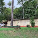 ArcelorMittal amplia ações de educação ambiental em Monlevade e região em 2025