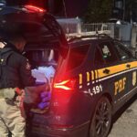 PRF apreende 100 kg de haxixe após perseguição na 262 e 381; motorista tinha mandado de prisão por roubo