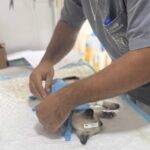 Castramóvel no Cruzeiro Celeste: inscrições para castração gratuita no Cruzeiro Celeste