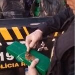 PRF apreende cerca de 1,7 tonelada de maconha após tombamento de carreta na BR-381
