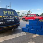 PRF apreende mais de 200 kg de maconha na BR-262