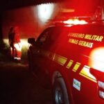 Bombeiros passam cerca de oito horas em ação para conter enxame de abelhas em João Monlevade