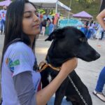 Secretaria de Meio Ambiente e parceiros promovem Feira de Adoção de Animais neste domingo, dia 2 de agosto
